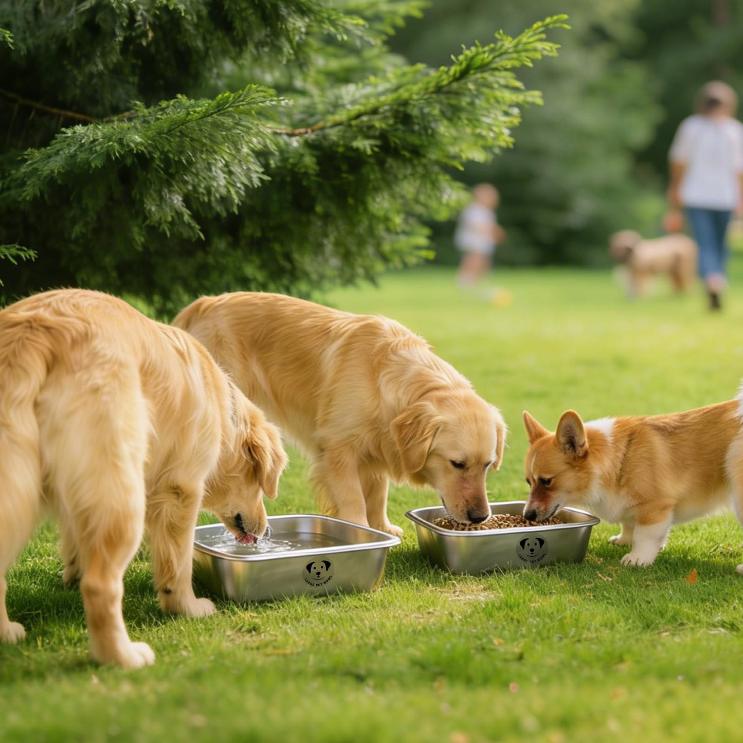 GIXSEGIE Stainless Steel Dog Bowls for Dogs
