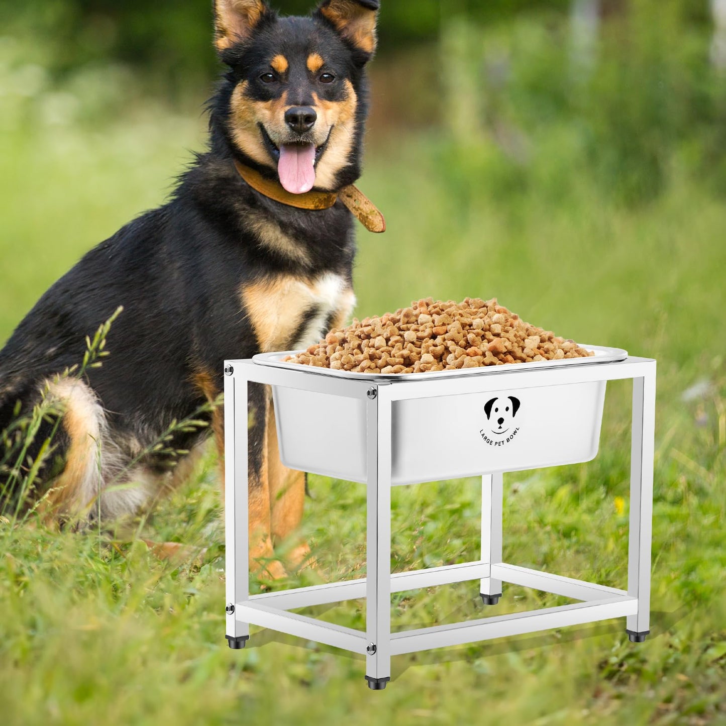 GIXSEGIE Stainless Steel Dog Bowls for Dogs
